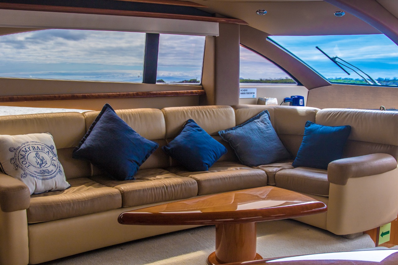 WhatsApp Image 2025-09-11 at 13.46.09