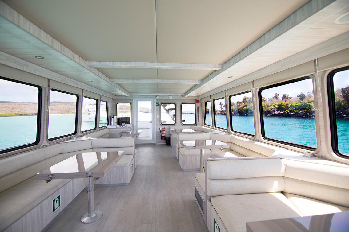 sea-lion-finch-bay-hotel-galapagos1